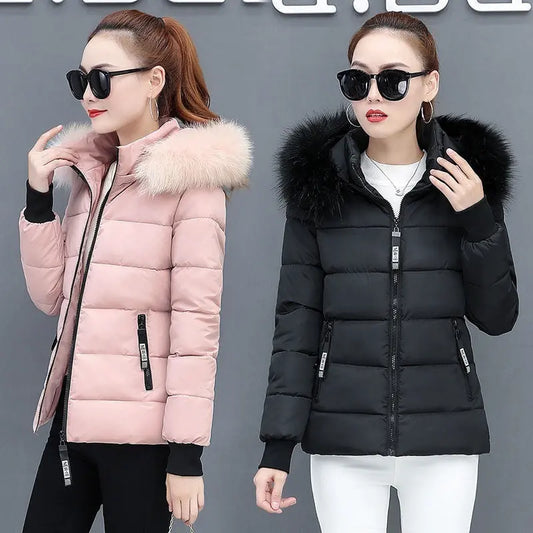 Thicken Big Fur Collar Plus Size Fat Sister Cotton-padded Coat - keithfowlerclothing