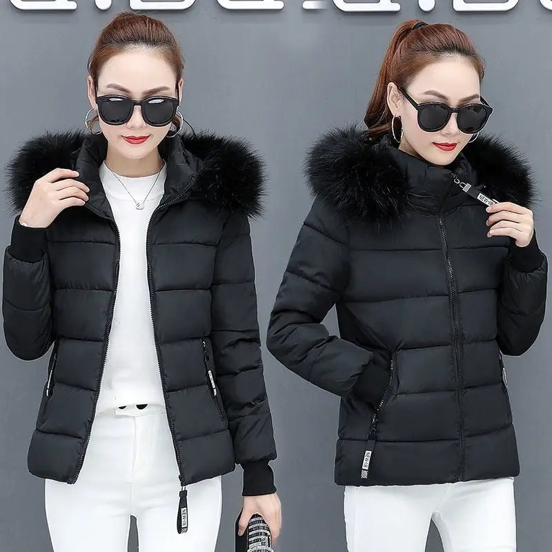 Thicken Big Fur Collar Plus Size Fat Sister Cotton-padded Coat - keithfowlerclothing