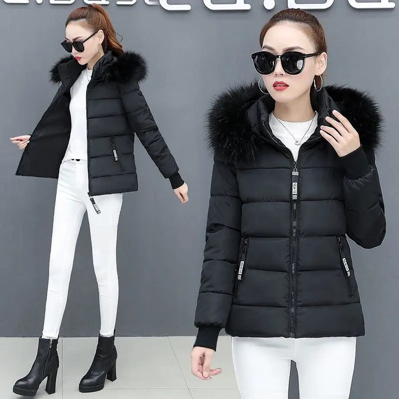 Thicken Big Fur Collar Plus Size Fat Sister Cotton-padded Coat - keithfowlerclothing