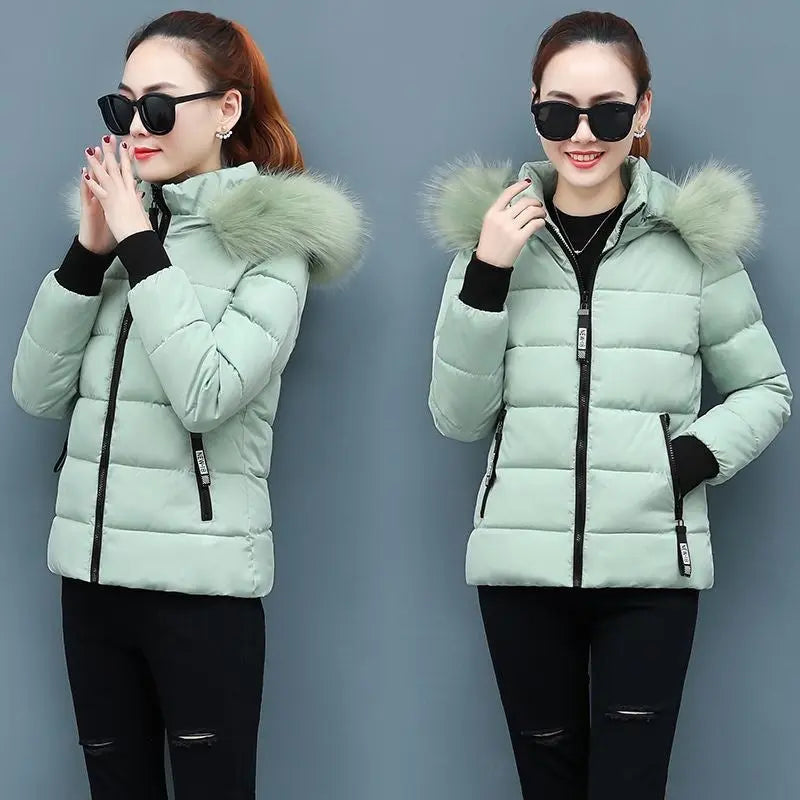 Thicken Big Fur Collar Plus Size Fat Sister Cotton-padded Coat - keithfowlerclothing